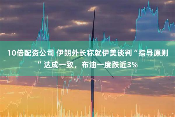 10倍配资公司 伊朗外长称就伊美谈判“指导原则”达成一致，布油一度跌近3%