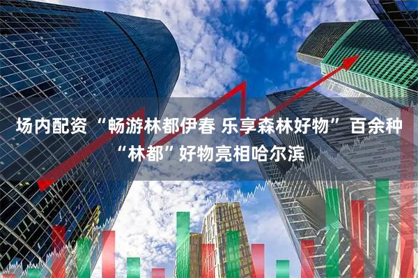 场内配资 “畅游林都伊春 乐享森林好物” 百余种“林都”好物亮相哈尔滨