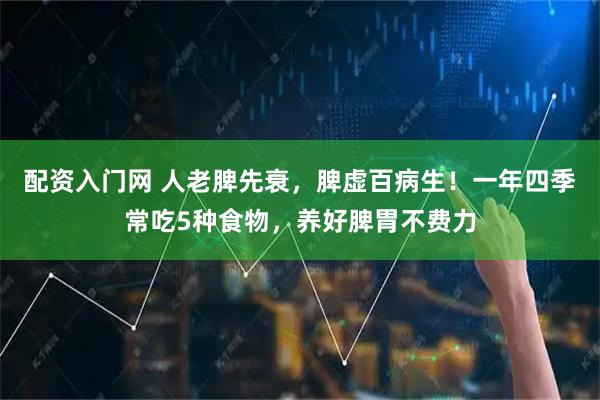 配资入门网 人老脾先衰，脾虚百病生！一年四季常吃5种食物，养好脾胃不费力